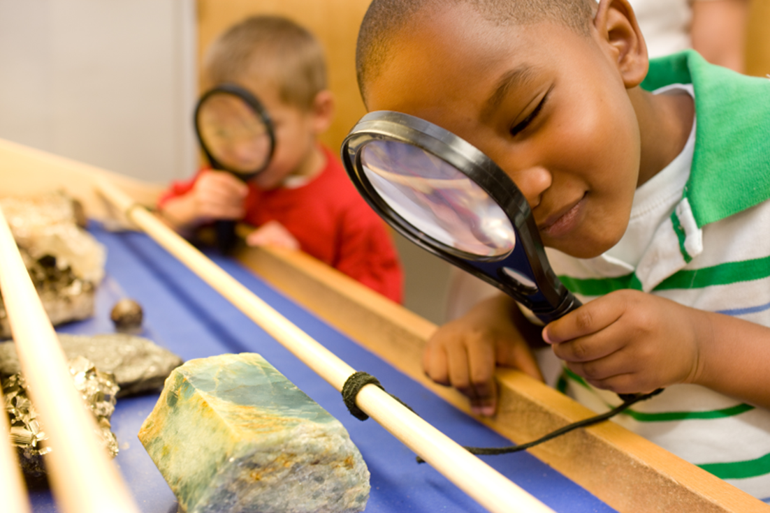 primary science